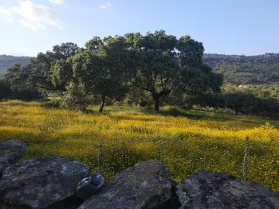 Paisaje cerca de este apartamento