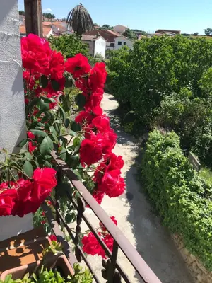 Jardín al aire libre en Casa Rural - Al Alba