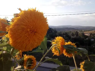 Paisaje cerca de esta casa o chalet