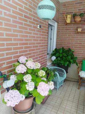 Jardín al aire libre en Apartamento Turístico Príncipe Cáceres AT-CC-00415