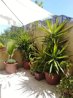 Jardín al aire libre en Apartamento Turístico Príncipe Cáceres AT-CC-00415