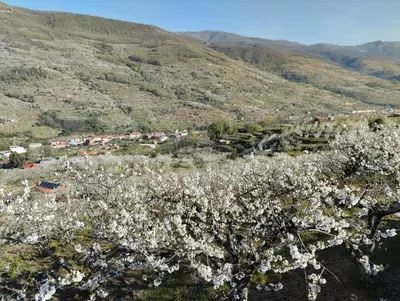 Paisaje cerca of this country house
