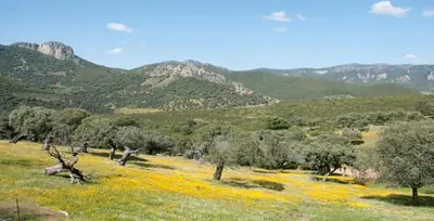 Paisaje cerca de esta casa o chalet