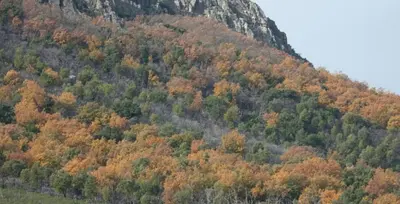 Paisaje cerca de esta casa o chalet