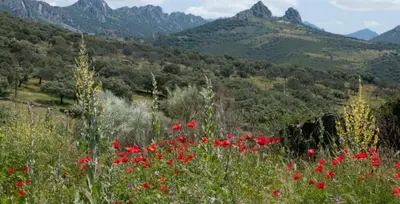 Paisaje cerca de esta casa o chalet