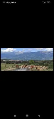 Plano de Tu Casa de Pueblo
