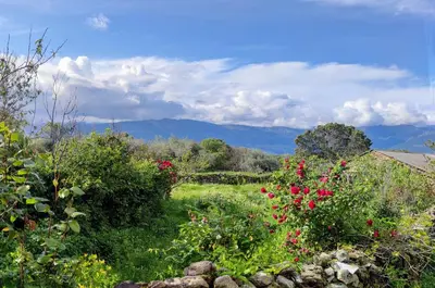 Paisaje cerca de esta casa o chalet