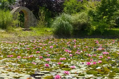 Jardín al aire libre en Vaqueria Cantaelgallo