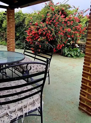 Jardín al aire libre en Apartamento Rural San Jorge Bajo