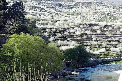 Paisaje cerca de este apartamento