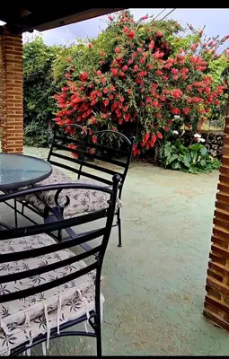 Jardín al aire libre en Apartamento Rural San Jorge Bajo