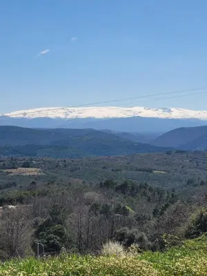 Paisaje cerca de este apartamento
