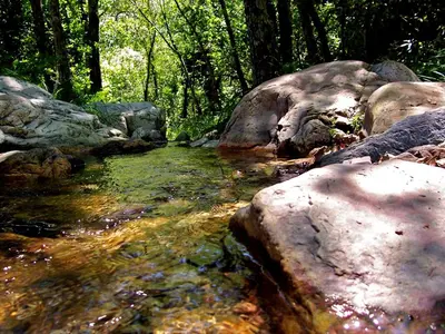 Paisaje cerca de este apartamento