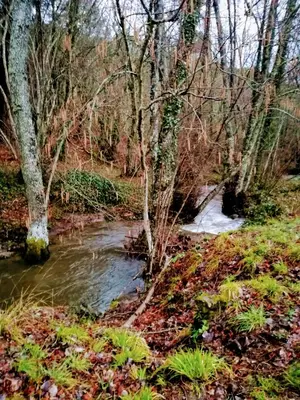 Paisaje cerca de este hostal o pensión