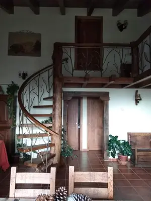 Plano de Entre las Piedras y musgo