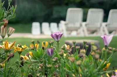 Jardín al aire libre en Apartamentos El Calambuco