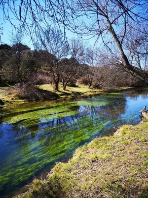 Paisaje cerca of this country house