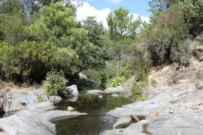 Paisaje cerca de este apartamento