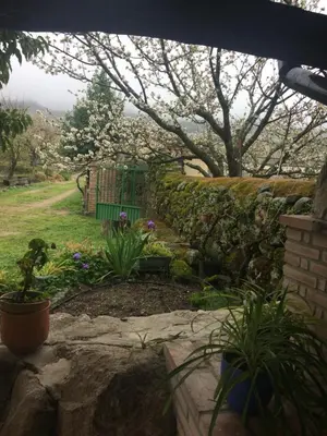 Jardín al aire libre en LA ANTIGUA TAHONA