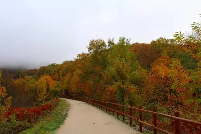 Paisaje cerca de este apartamento