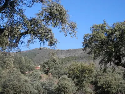 Paisaje cerca de este apartamento