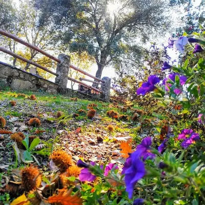 Jardín al aire libre en La Simona Casa Rural