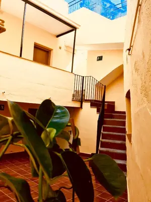 Plano de Caesarina III