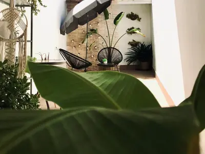 Jardín al aire libre en Apartamentos Élite - Art Collection - Frida