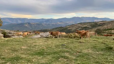 Paisaje cerca de esta casa o chalet