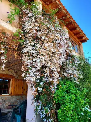Jardín al aire libre en Casa Rural Balcón del Camino Viejo