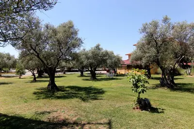 Jardín al aire libre en Hotel Rural Hojaranzos