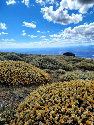 Paisaje cerca de este apartamento