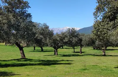 Paisaje cerca de esta casa o chalet