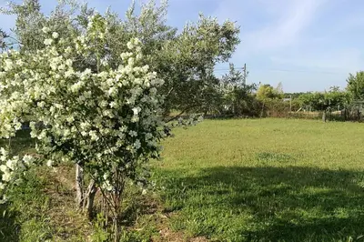 Jardín al aire libre en Casa de Campo Talavera