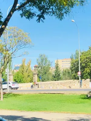 Plano de Apartamento turísticos Puente Romano P1 1-C