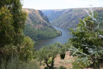 Paisaje cerca de este hotel