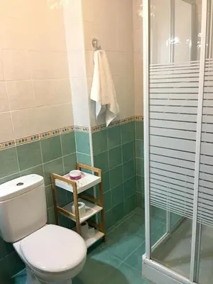 Un baño de VUT sencilla y cómoda en Ávila capital.
