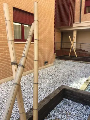 Plano de VUT sencilla y cómoda en Ávila capital.