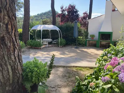 Jardín al aire libre en Aventura II