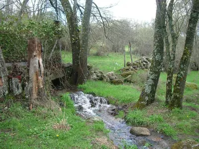 Paisaje cerca de esta casa o chalet