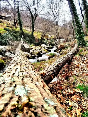 Paisaje cerca de este apartamento