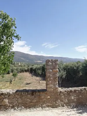 Paisaje cerca of this country house