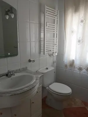 Un baño de EL MIRADOR DEL CORNEJA