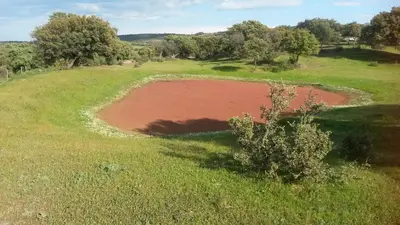 Paisaje cerca of this country house