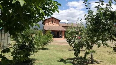 Jardín al aire libre en Casa Valentina