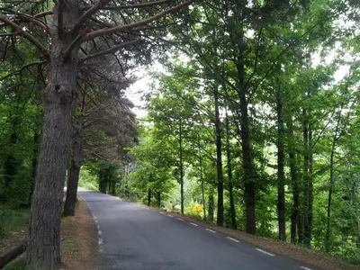 Paisaje cerca de este apartamento
