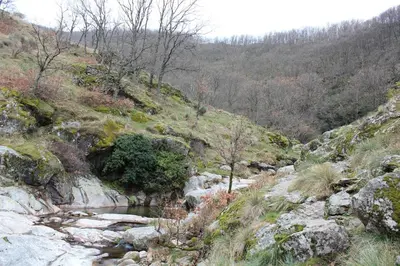 Paisaje cerca de este apartamento