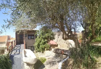 Jardín al aire libre en La Teodora