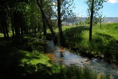 Paisaje cerca de esta casa o chalet