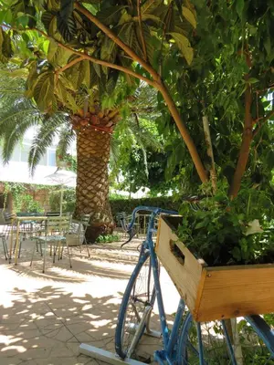 Jardín al aire libre en Hostal San José